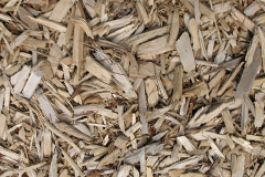 biomass boilers Wood Dalling